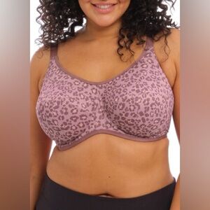 Elomi Leopard Print Sports Bra - Purple